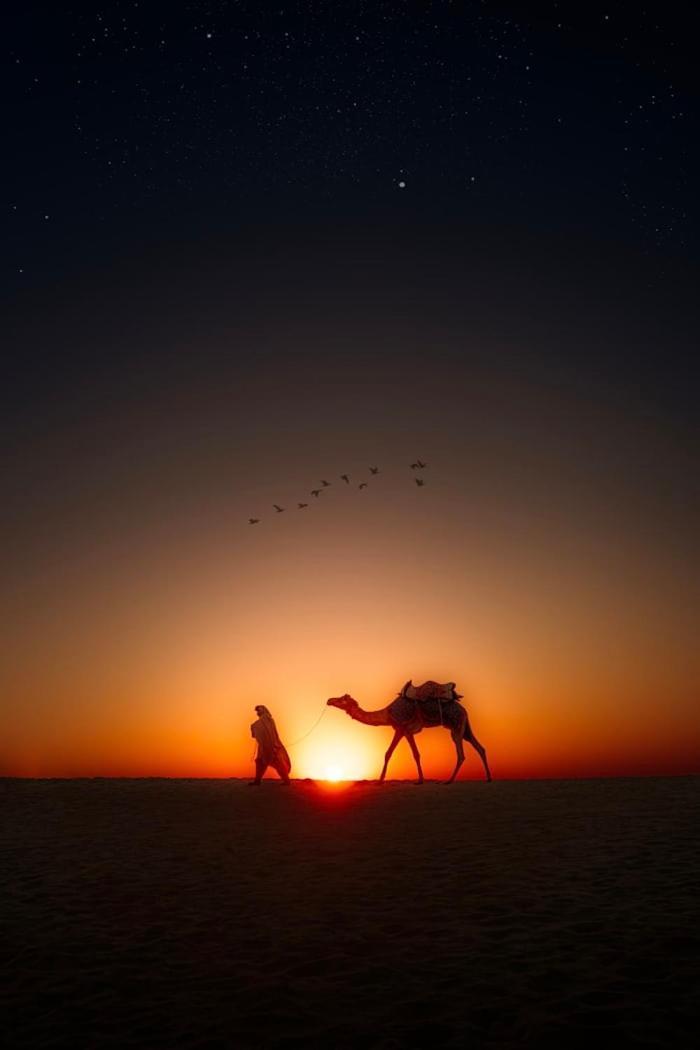 Desert Holiday 斋沙默尔 外观 照片